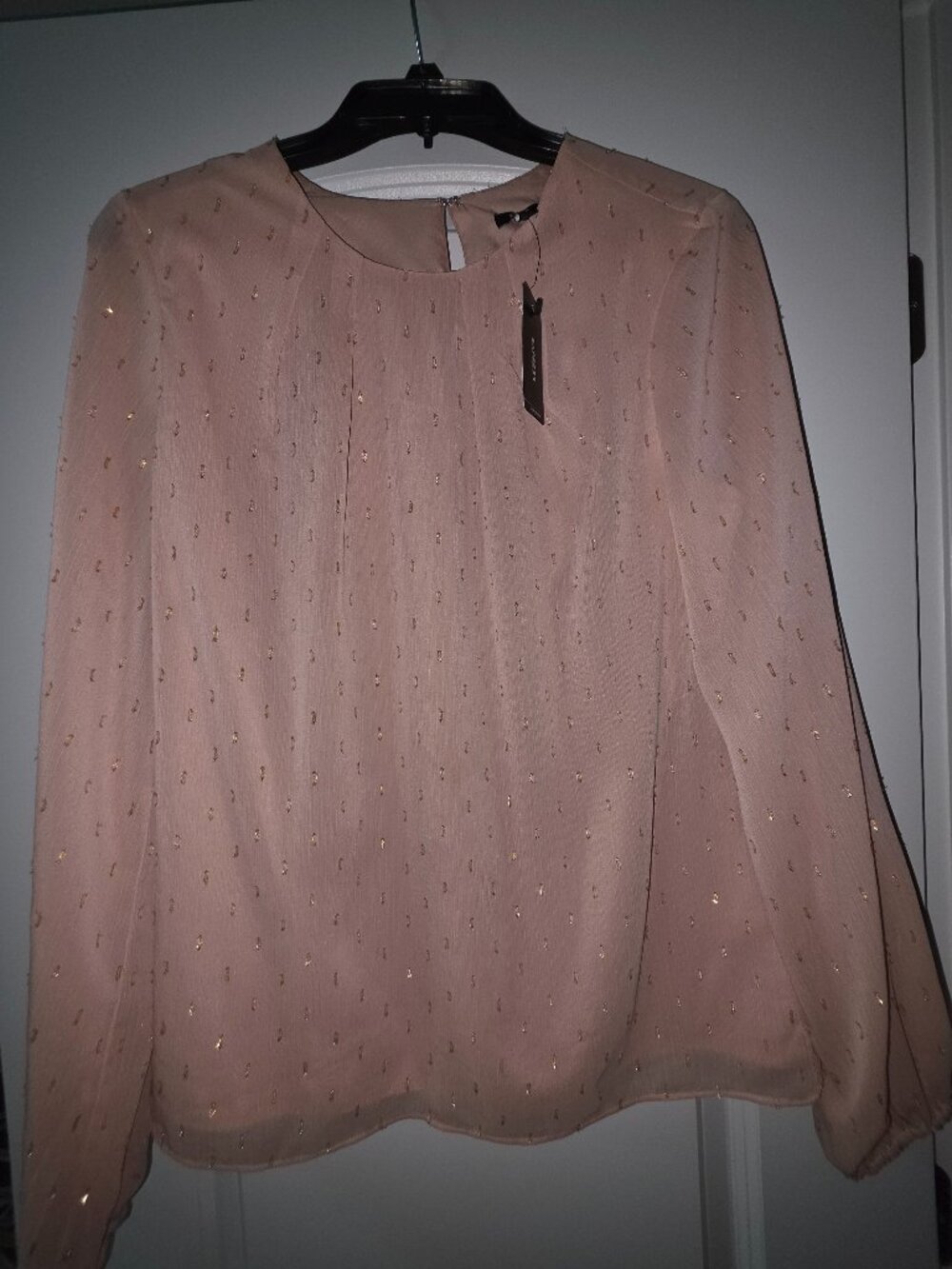 Express long sleeve blouse